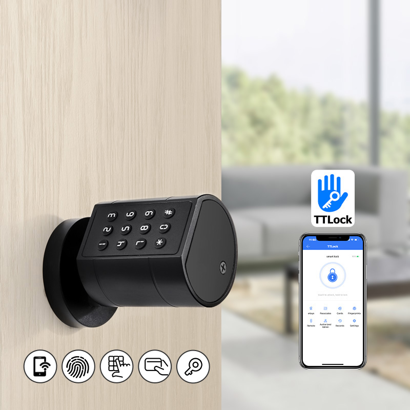 Cerradura de puerta cilíndrica - Smart Door Lock Wifi reseña y precio