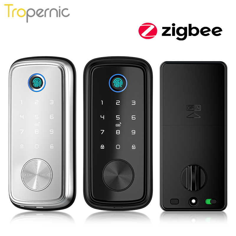 Tuya Zigbee-cerrojo de segurid - Smart Door Lock Wifi reseña y precio